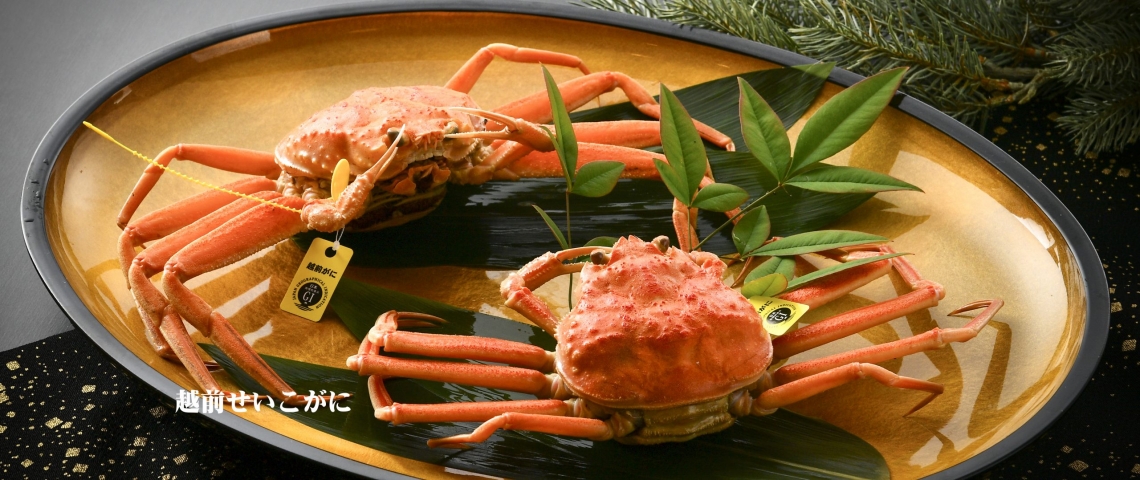 越前せいこ蟹